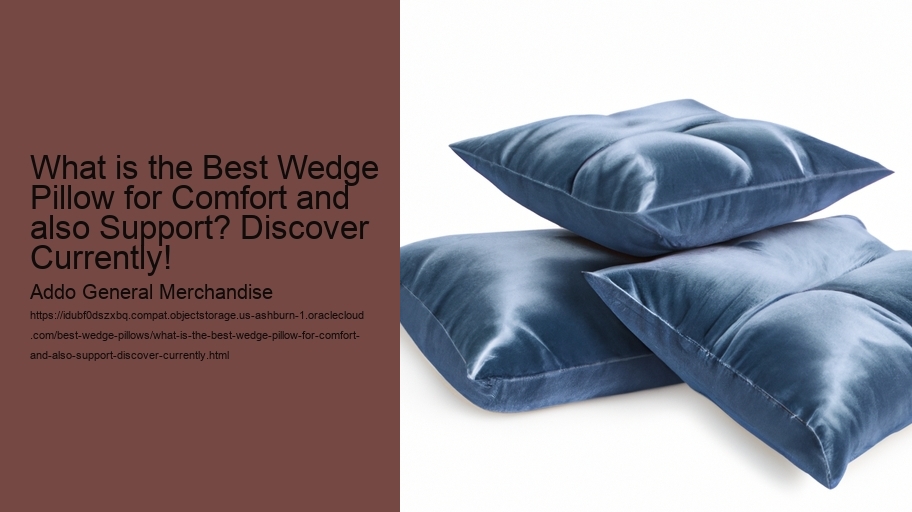 What is the Best Wedge Pillow for Comfort and also Support? Discover Currently!