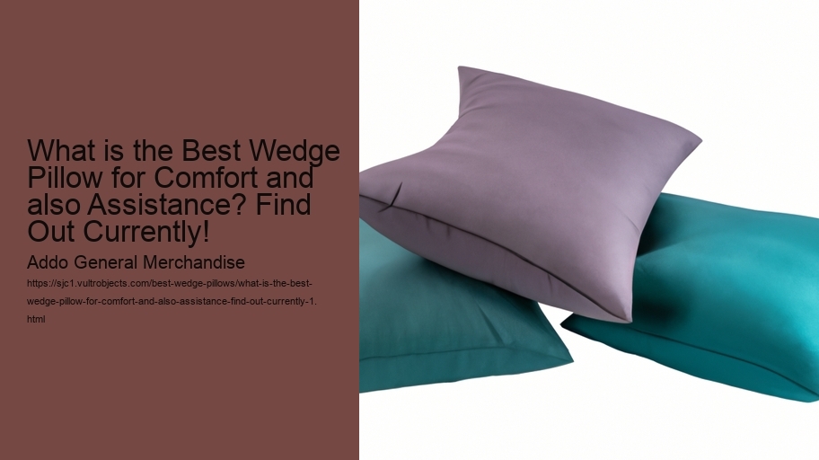 What is the Best Wedge Pillow for Comfort and also Assistance? Find Out Currently!