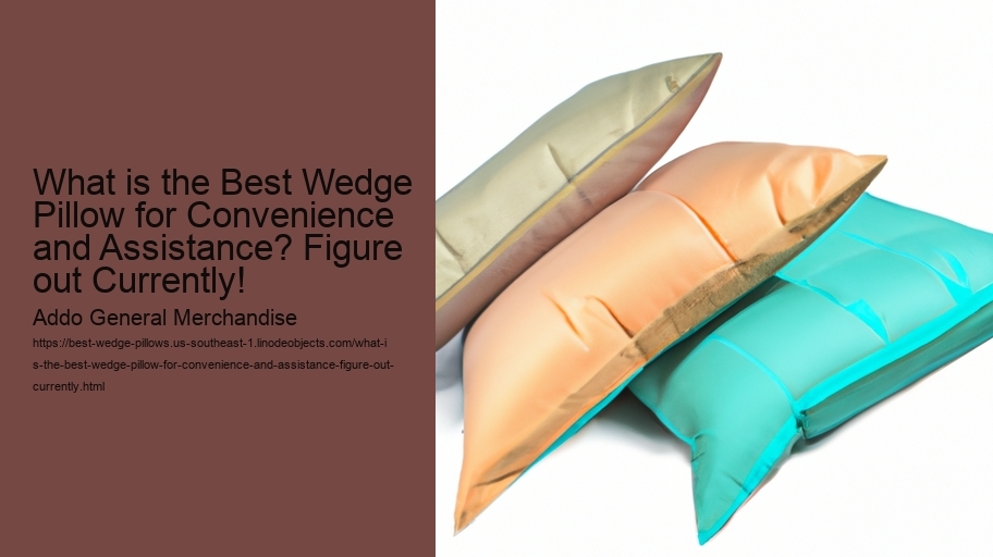 What is the Best Wedge Pillow for Convenience and Assistance? Figure out Currently!