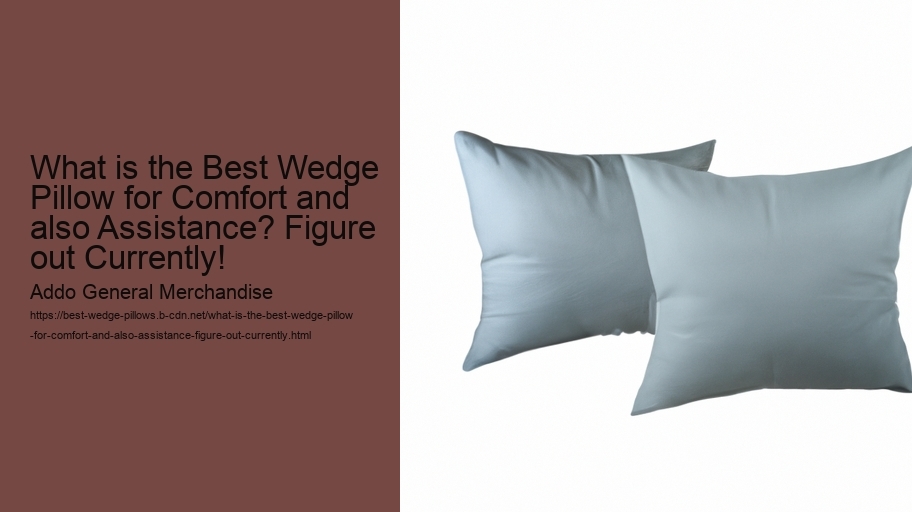 What is the Best Wedge Pillow for Comfort and also Assistance? Figure out Currently!