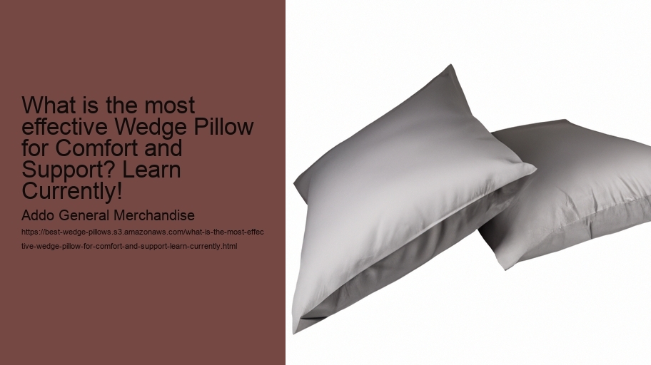 What is the most effective Wedge Pillow for Comfort and Support? Learn Currently!