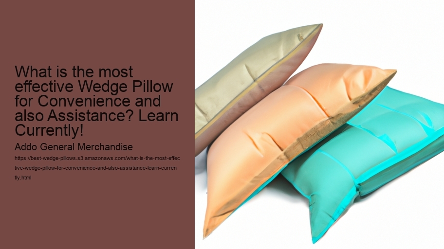 What is the most effective Wedge Pillow for Convenience and also Assistance? Learn Currently!