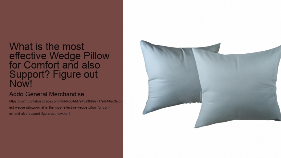 What is the most effective Wedge Pillow for Comfort and also Support? Figure out Now!