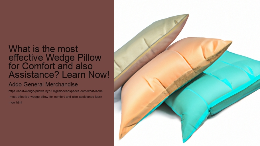 What is the most effective Wedge Pillow for Comfort and also Assistance? Learn Now!