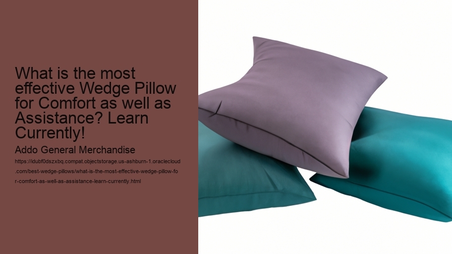 What is the most effective Wedge Pillow for Comfort as well as Assistance? Learn Currently!