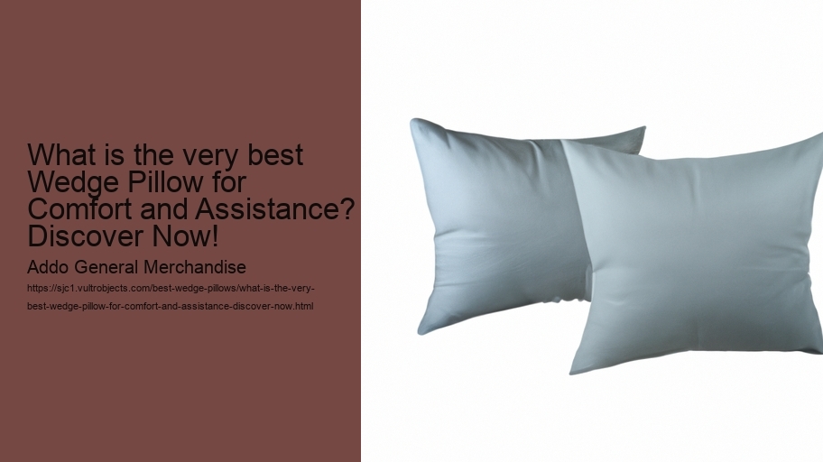 What is the very best Wedge Pillow for Comfort and Assistance? Discover Now!