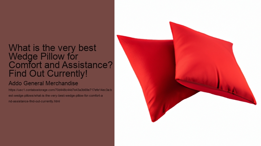 What is the very best Wedge Pillow for Comfort and Assistance? Find Out Currently!
