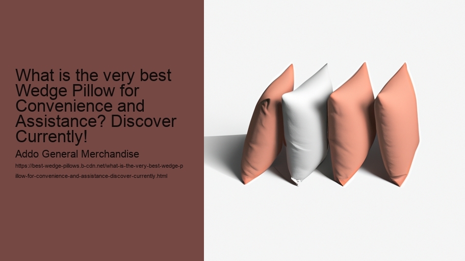 What is the very best Wedge Pillow for Convenience and Assistance? Discover Currently!