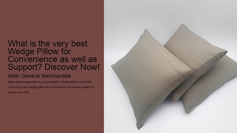 What is the very best Wedge Pillow for Convenience as well as Support? Discover Now!